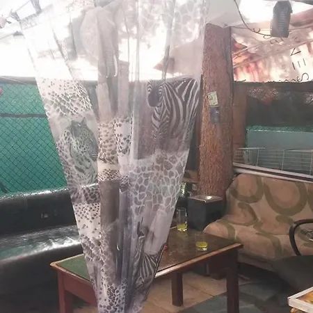 Randi Mamola * ソフィア